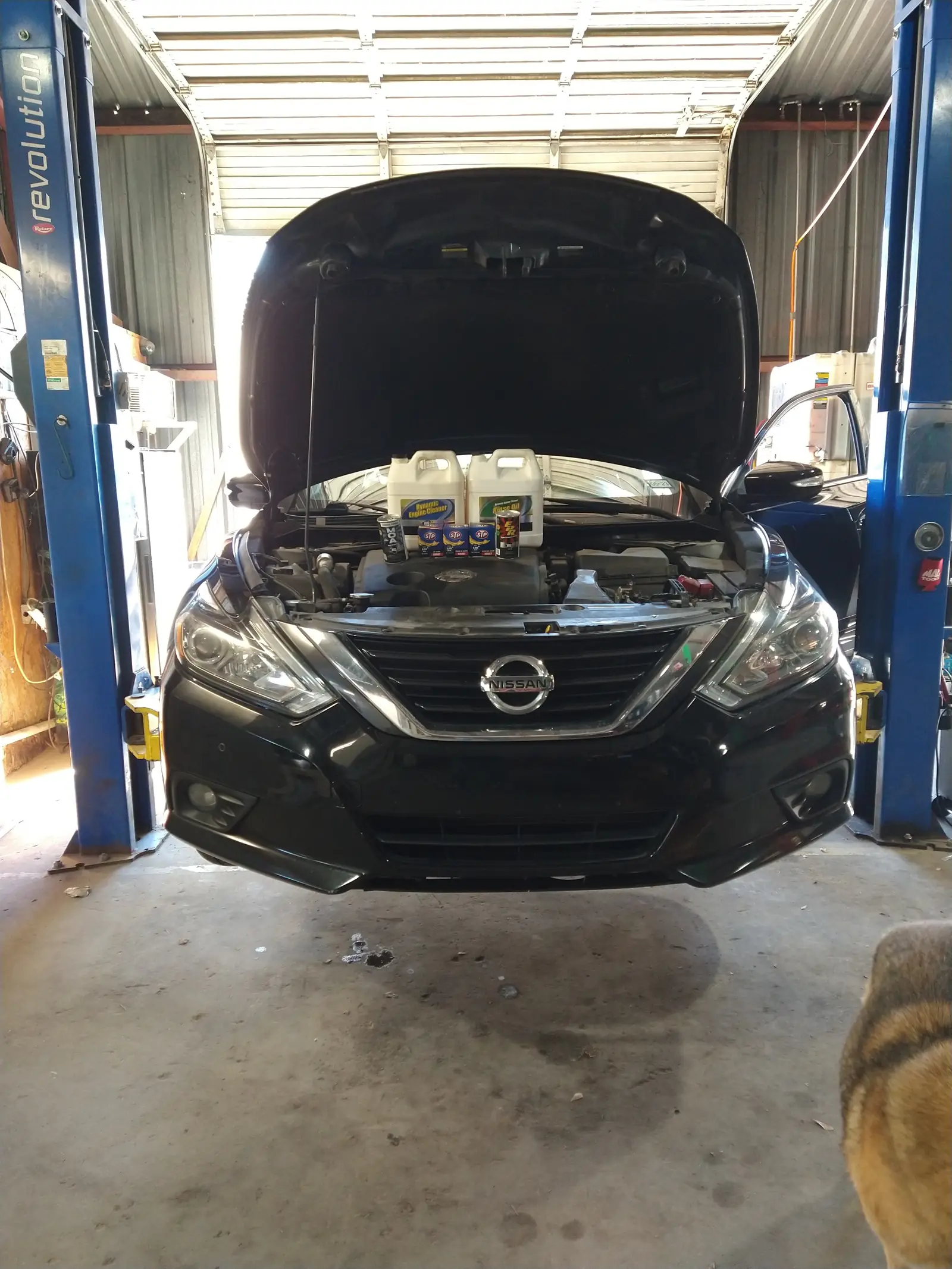 A car on the lift with the hood open for electrical testing